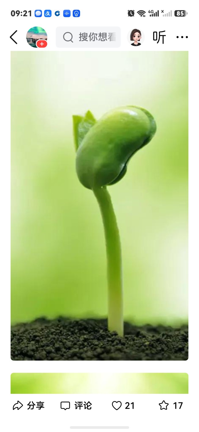 新萌商贸