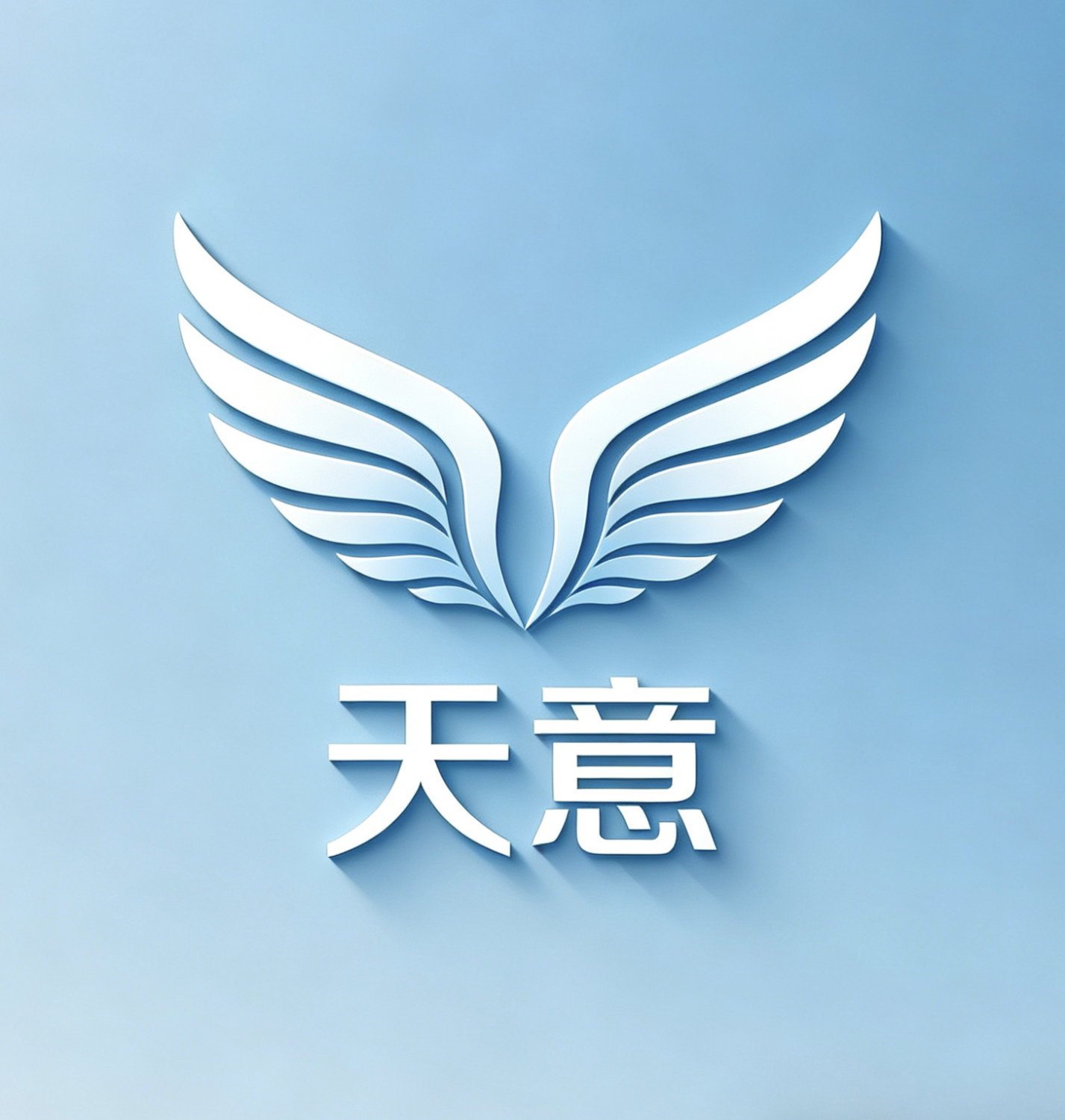 TikShop