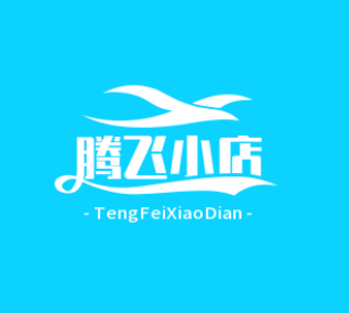 腾飞小店