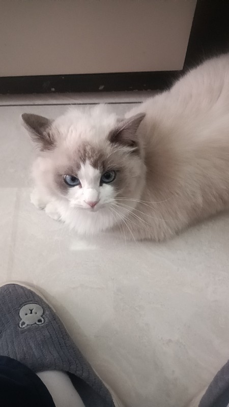 潮货渠场