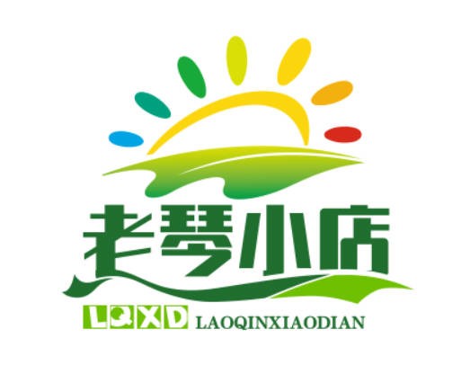 老琴小店